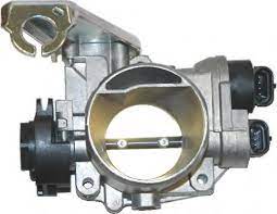CUERPO FIAT